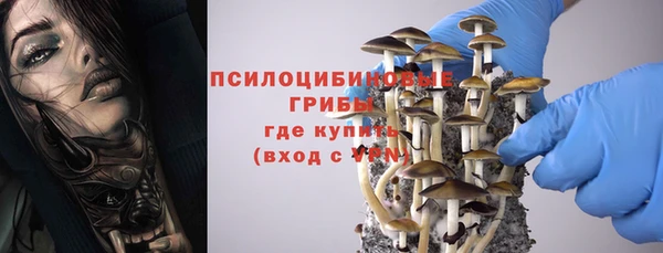 герыч Бородино